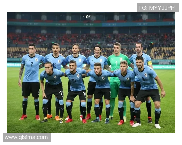 捷克足球明星盘点：谁是绿茵场上的璀璨之星